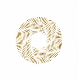 Amer Center Dubai Airport Freezone Al Twar